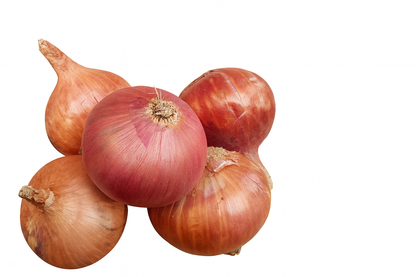 Onion - (प्याज)