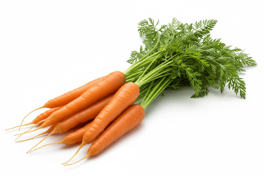 Fresh Orange carrot pack from swann fresh