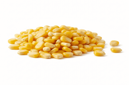 fresh sweet corn from swann fresh