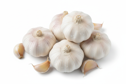 generate an image of garlic for my grocery store