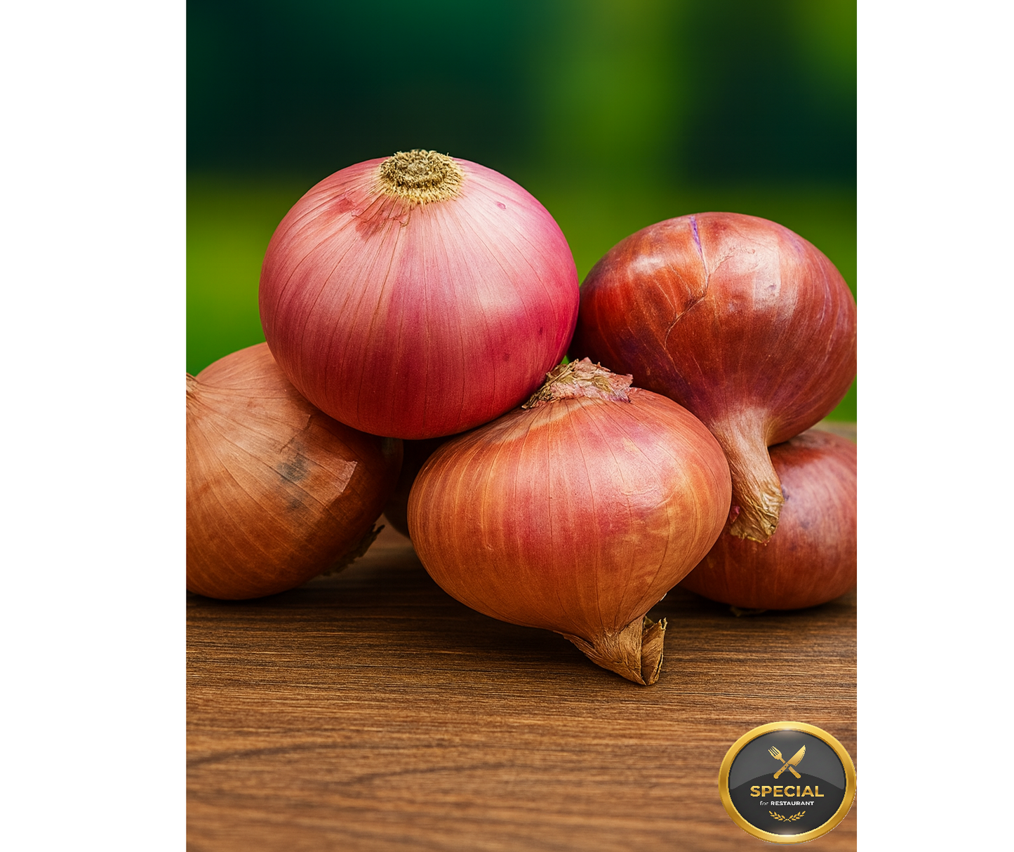 Onion - (प्याज) Special for Restaurant