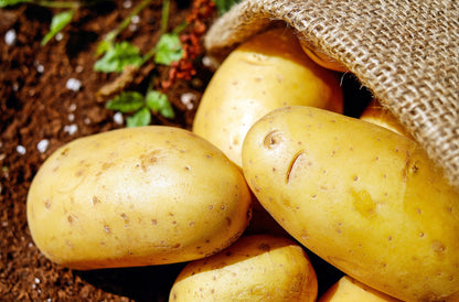 potato-(aloo) phadi aloo Originally grown in India